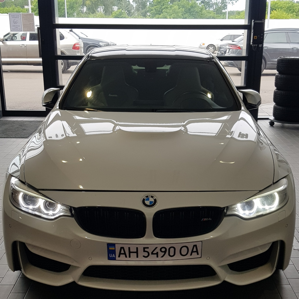 Замена масляного радиатора — BMW M4 (F82), 3 л, 2014 года | визит на сервис  | DRIVE2