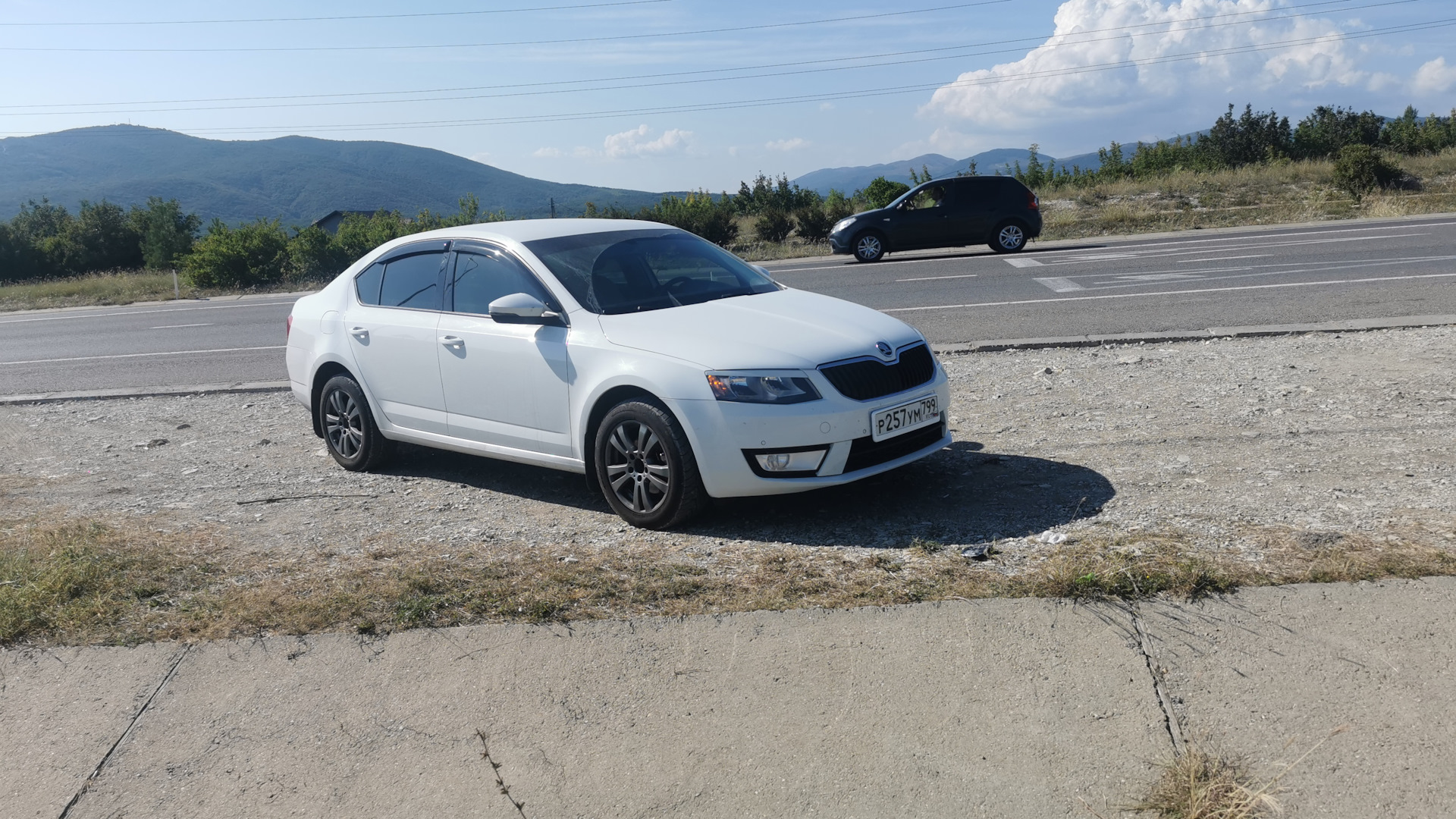 Skoda Octavia A7 Mk3 2.0 дизельный 2016 | ~Снежинка~ Diesel 2.0 на DRIVE2