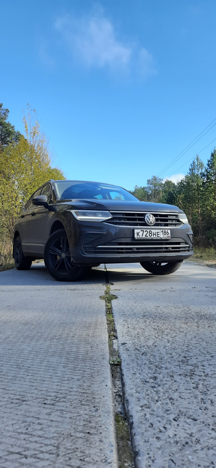 Перегородка для собак — Volkswagen Tiguan (2G), 2 л, 2021 года | аксессуары  | DRIVE2