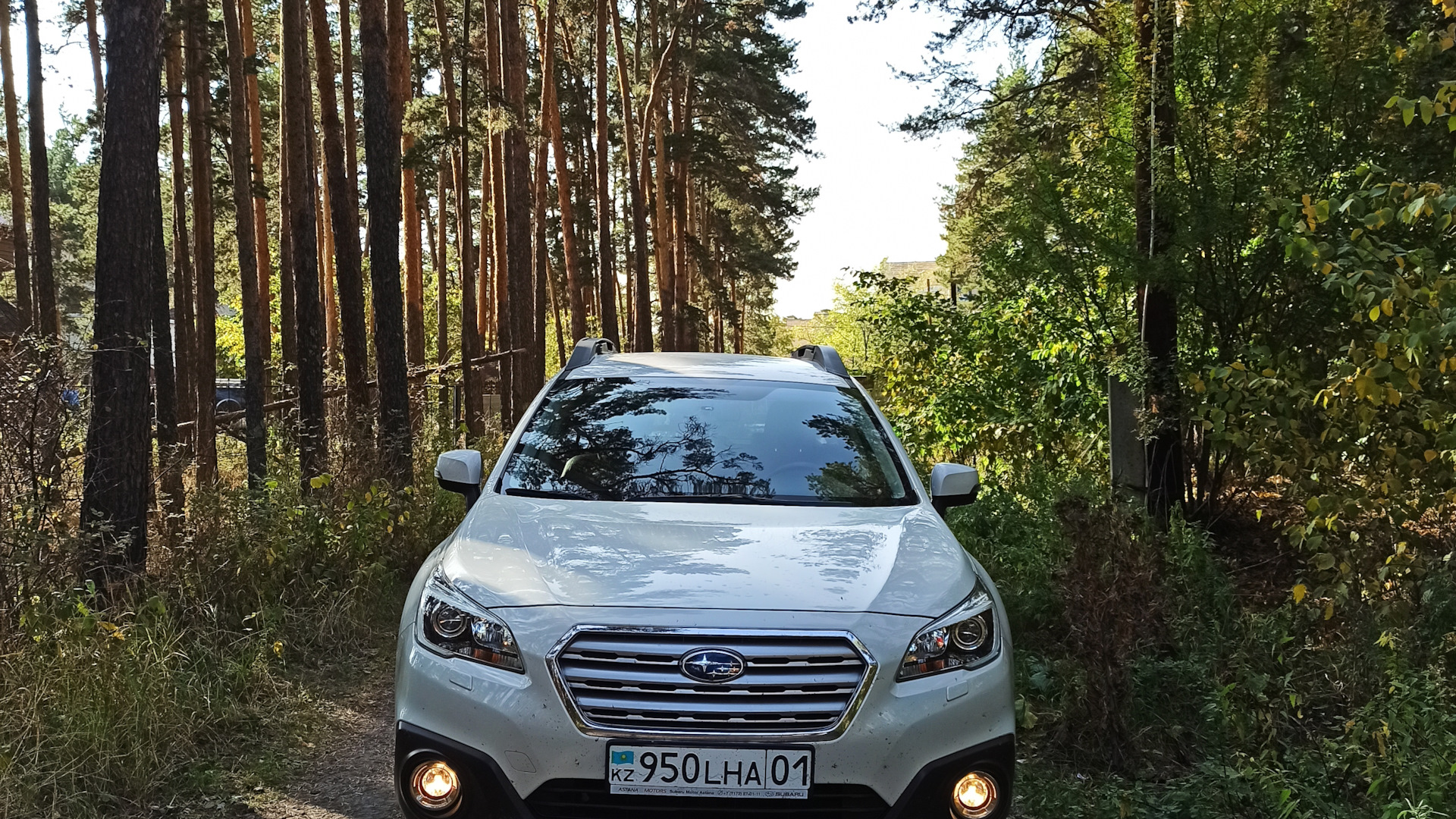 Subaru Outback (BS) 2.5 бензиновый 2015 | trolleybus на DRIVE2