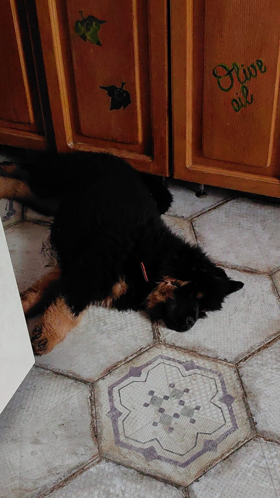 Пост Хвастовство . Салон. Химчистка, а надо ли ? — Toyota Corona (T190 ...