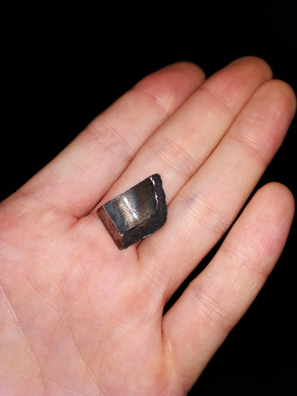 Переуплотнение поддона, замена ступичного и кнопки багажника — Land ...