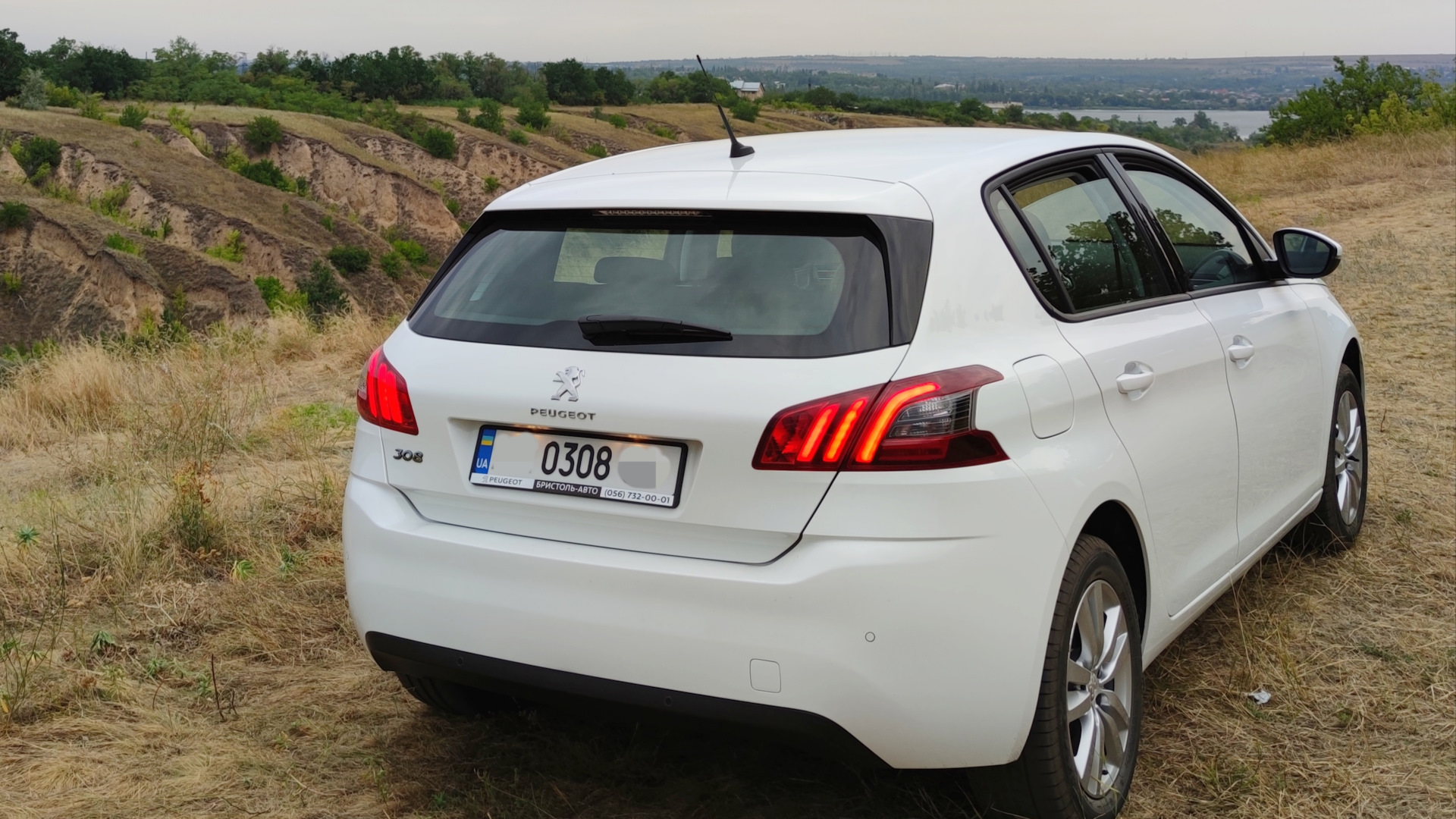 Peugeot 308 (2G) 1.6 дизельный 2019 | Diesel Lion 🦁 на DRIVE2