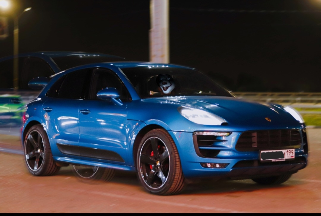 Macan GTS 5323f