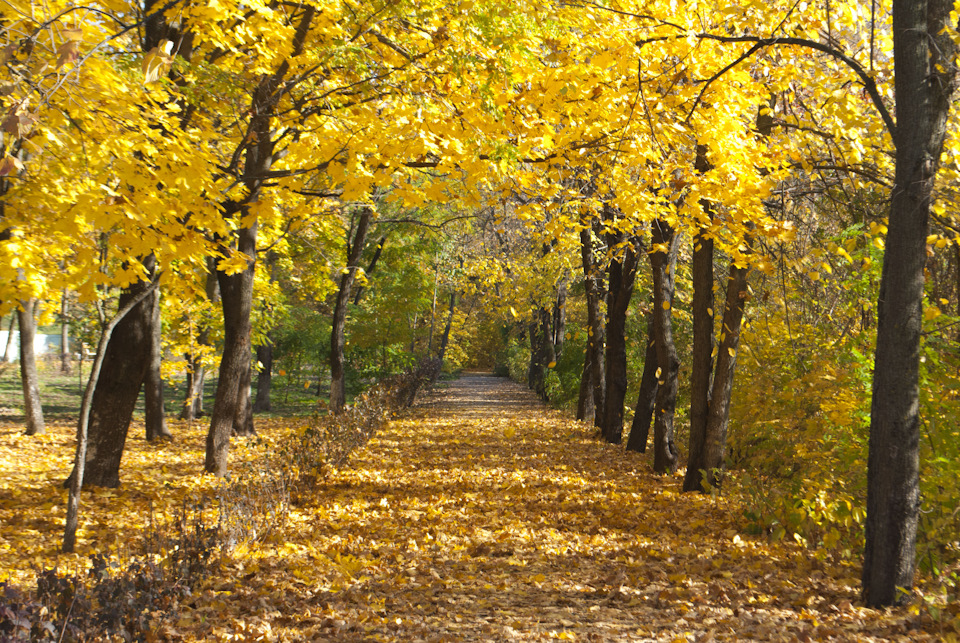 замена масла и соленоида блокировки. — Lada Калина седан, 1,6 л, 2007 ...