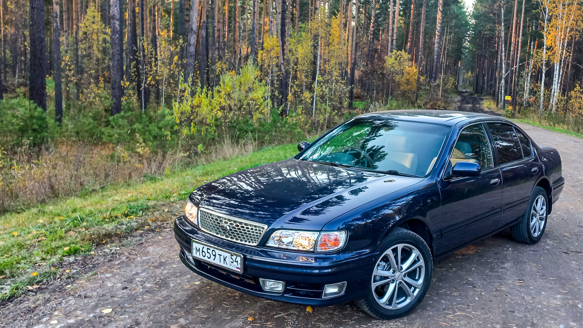 Nissan Cefiro (A32) 2.0 бензиновый 1995 | Синяя Птица на DRIVE2