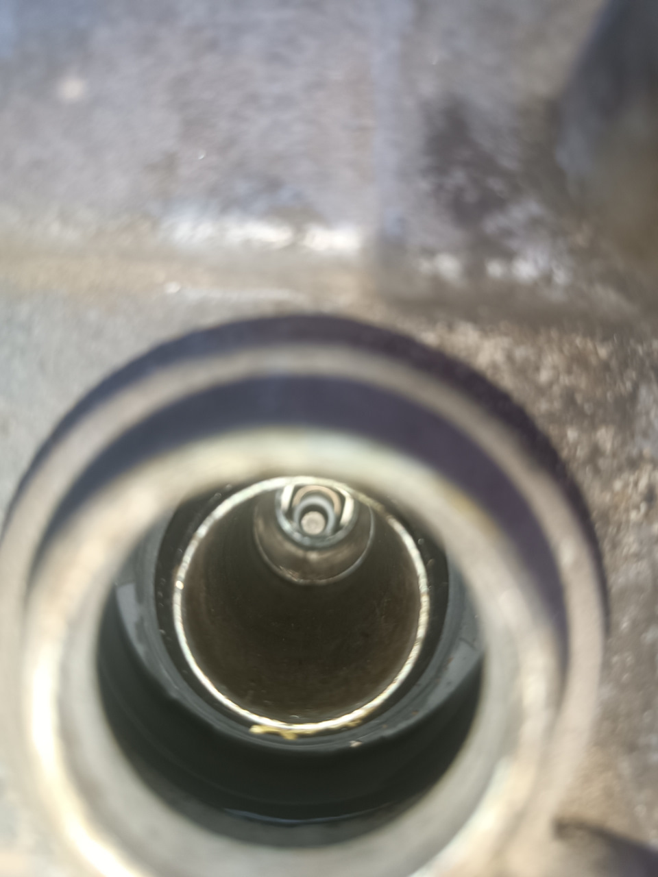 Фото в бортжурнале Nissan Primera (P12)