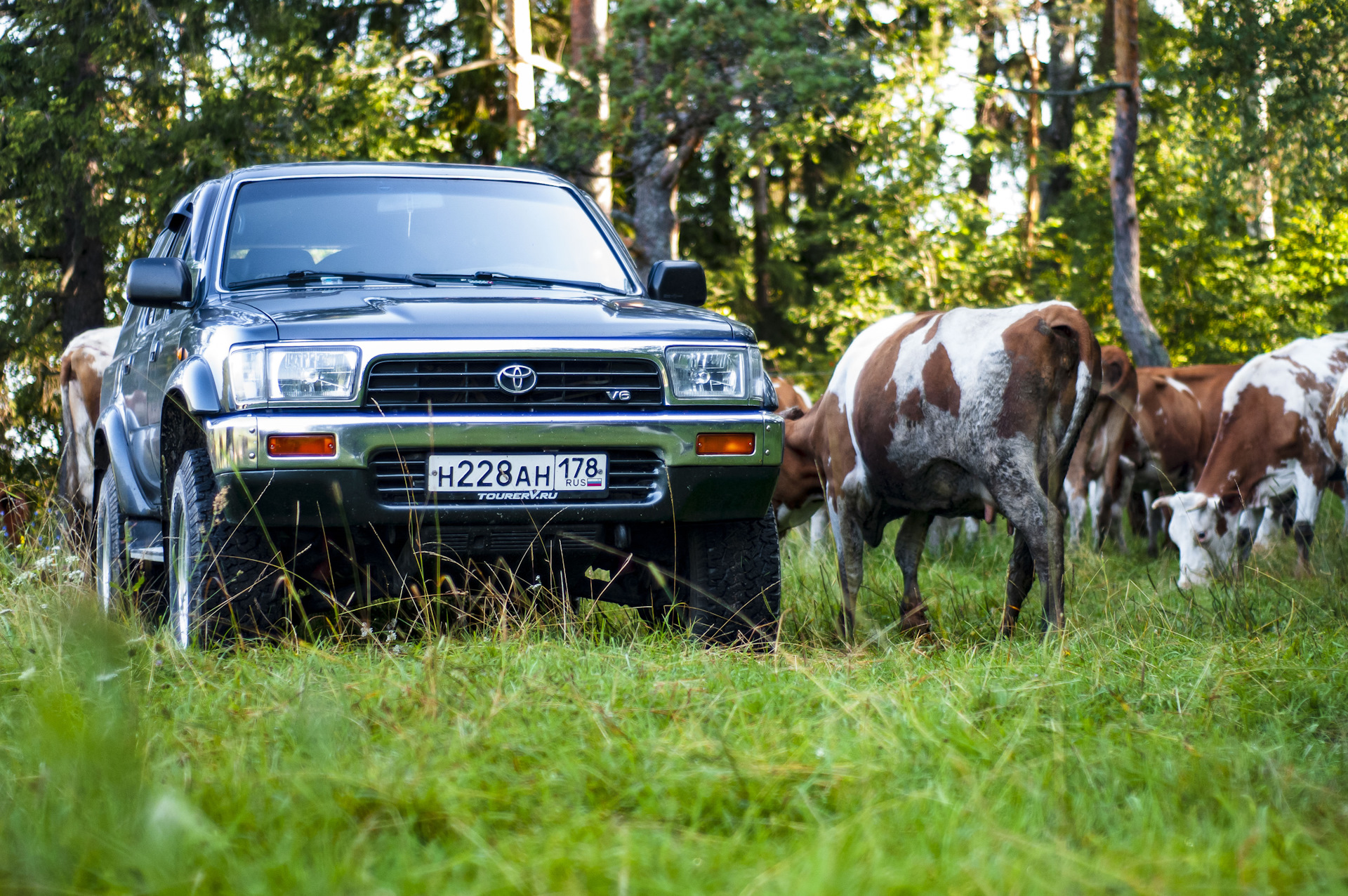 Веселый отдых на все бабки — Toyota 4Runner (II), 3 л, 1994 года | поломка  | DRIVE2