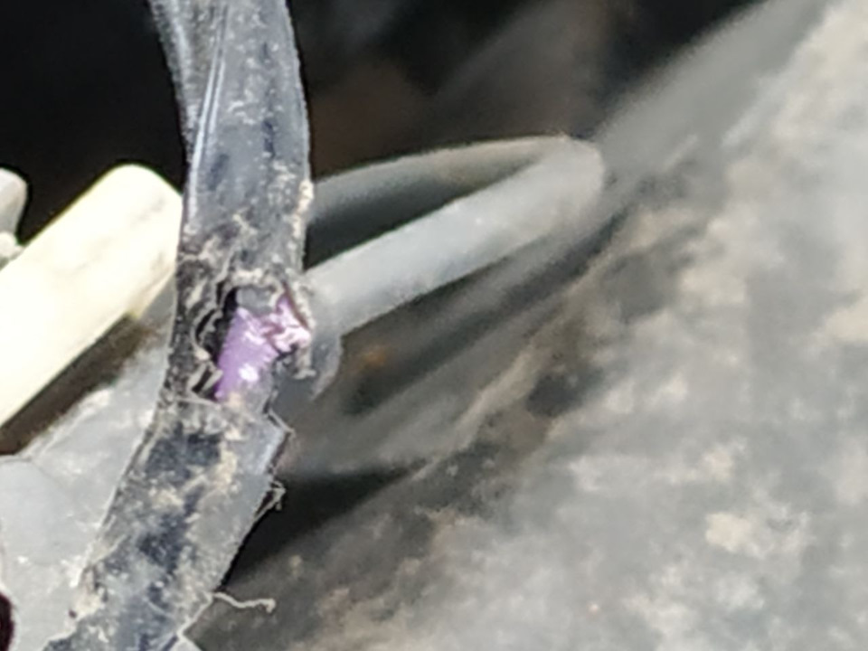 Крысы под капотом — Ford Mondeo V, 2,5 л, 2018 года | поломка | DRIVE2