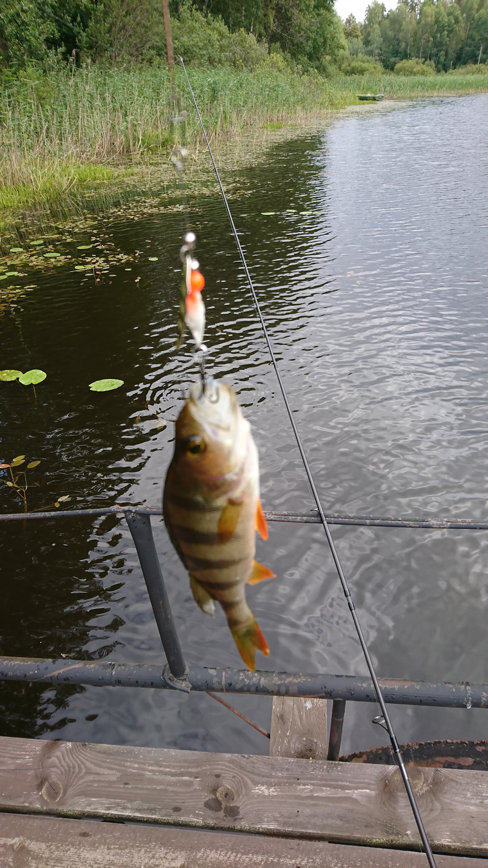 Фото в бортжурнале Mitsubishi Pajero (4G)