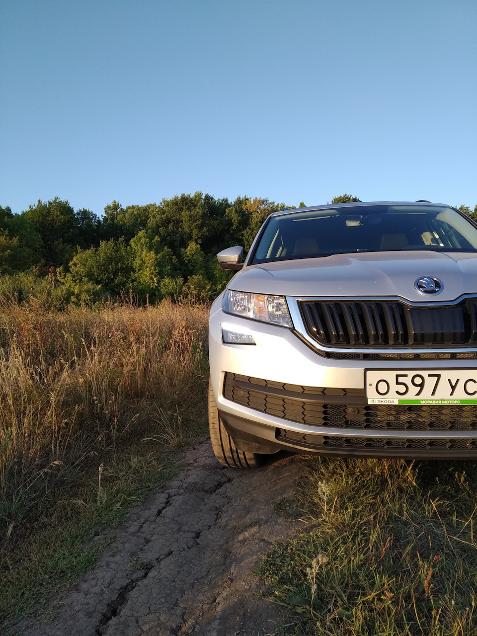 Паровозик из Ромашково — Skoda Kodiaq, 1,4 л, 2018 года | наблюдение |  DRIVE2