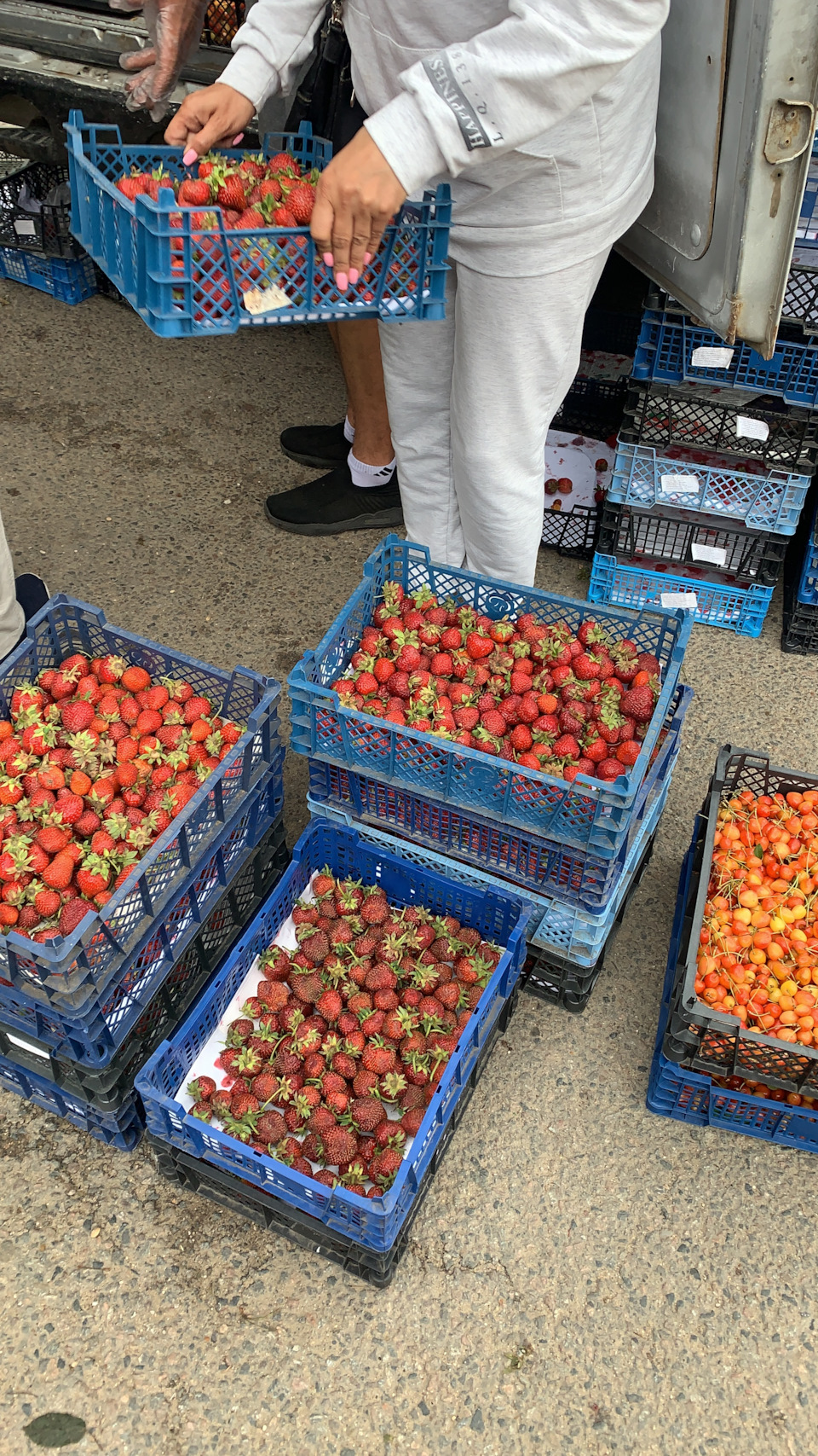 Фото в бортжурнале Renault Laguna III