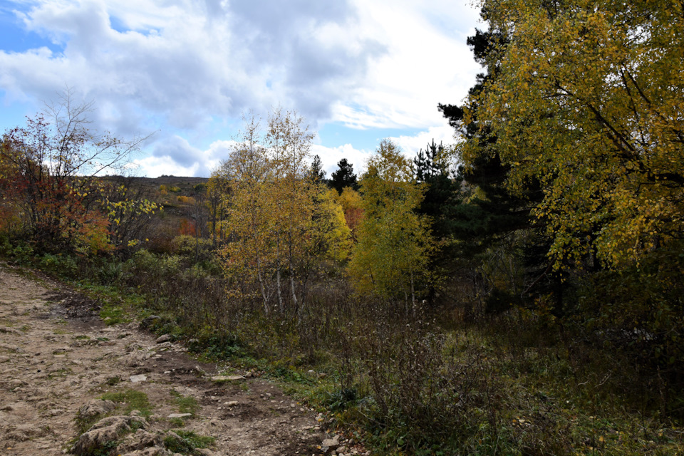 Фото в бортжурнале Renault Duster (1G)