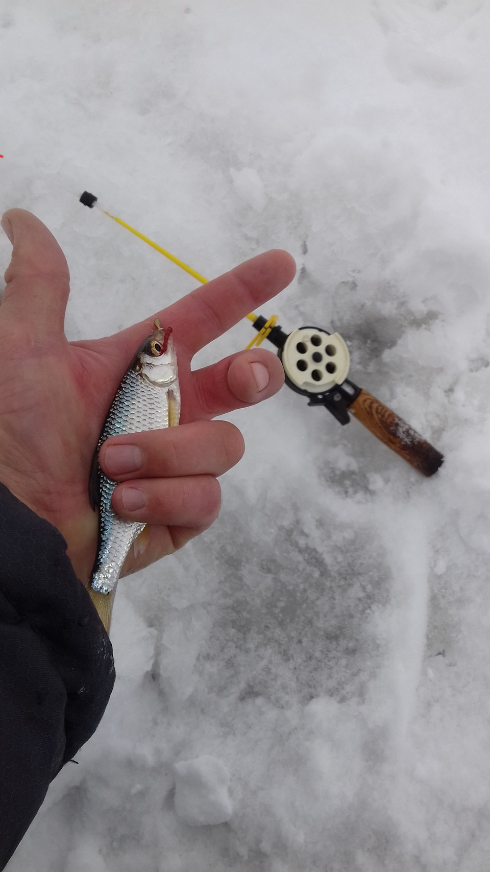 Какое нормальное давление для рыбалки зимой