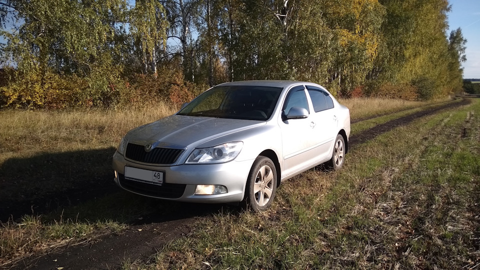 катализатор 1203008 с какой машины