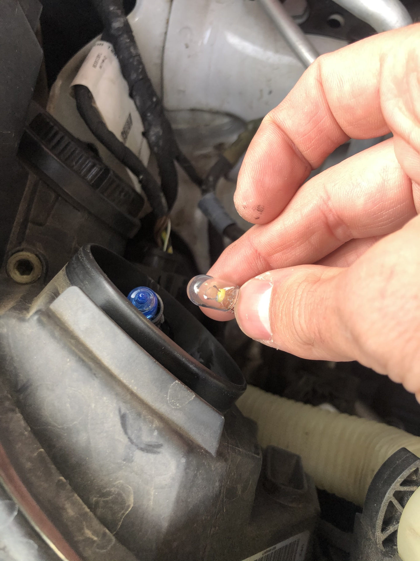 Габариты Osram. Настройка ПТФ. Заглушка задней боковины — Skoda Rapid ...