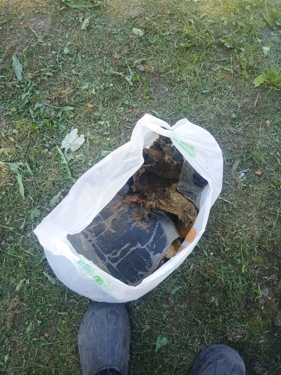 Замена цоколя переднего габаритного огня ! — Audi Q7 (1G), 3 л, 2007 ...