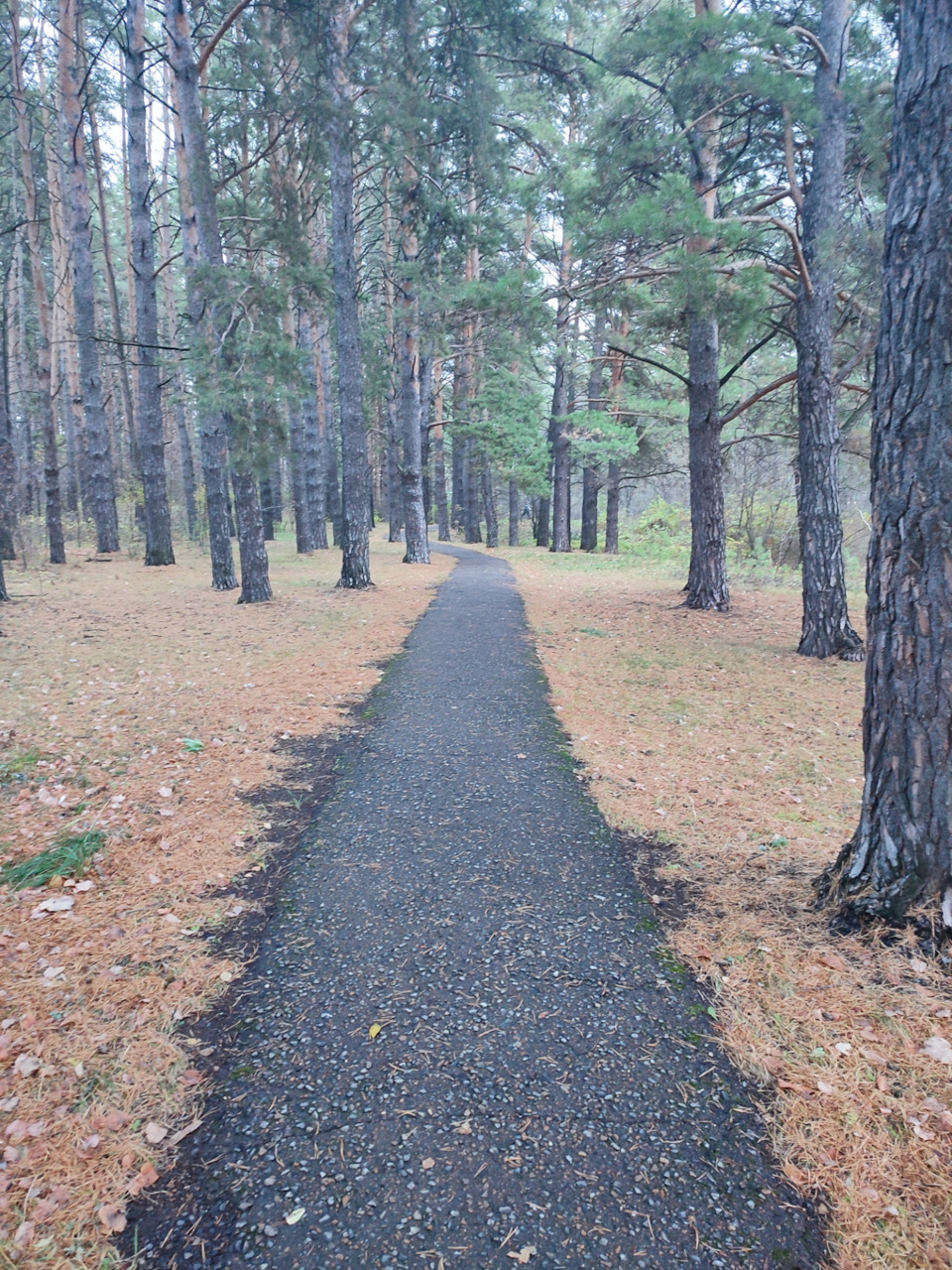 Фото в бортжурнале Renault Duster (1G)
