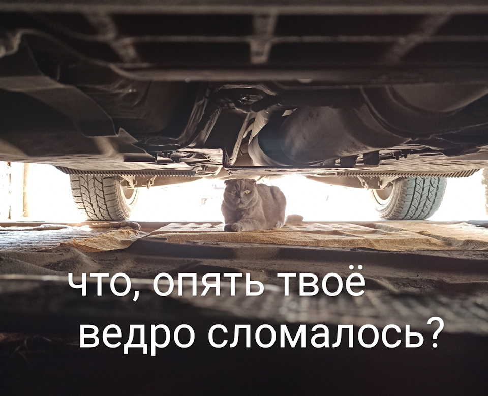 Фото в бортжурнале SEAT Altea Freetrack