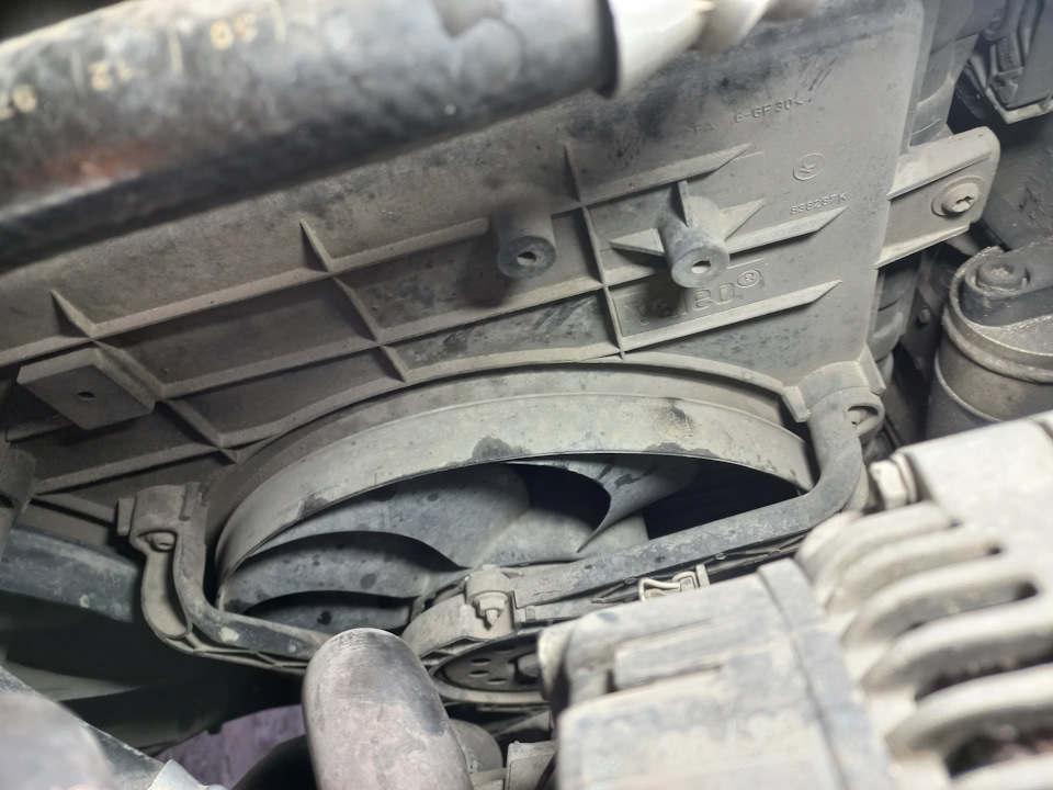 Фото в бортжурнале Volkswagen New Beetle