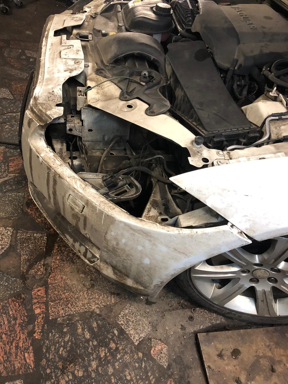 Ягуар XF 2012 год замена лампы ближнего света — JAGUAR PARTS на DRIVE2
