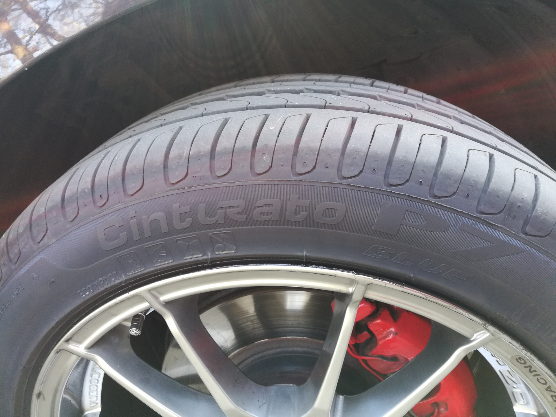 Pirelli cinturato p7 обзоры