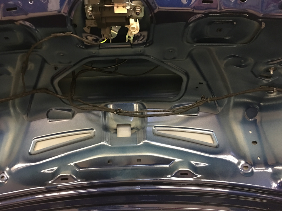 Презентация открытия 2-го автосалона КИА в Набережных Челнах — KIA Ceed ...