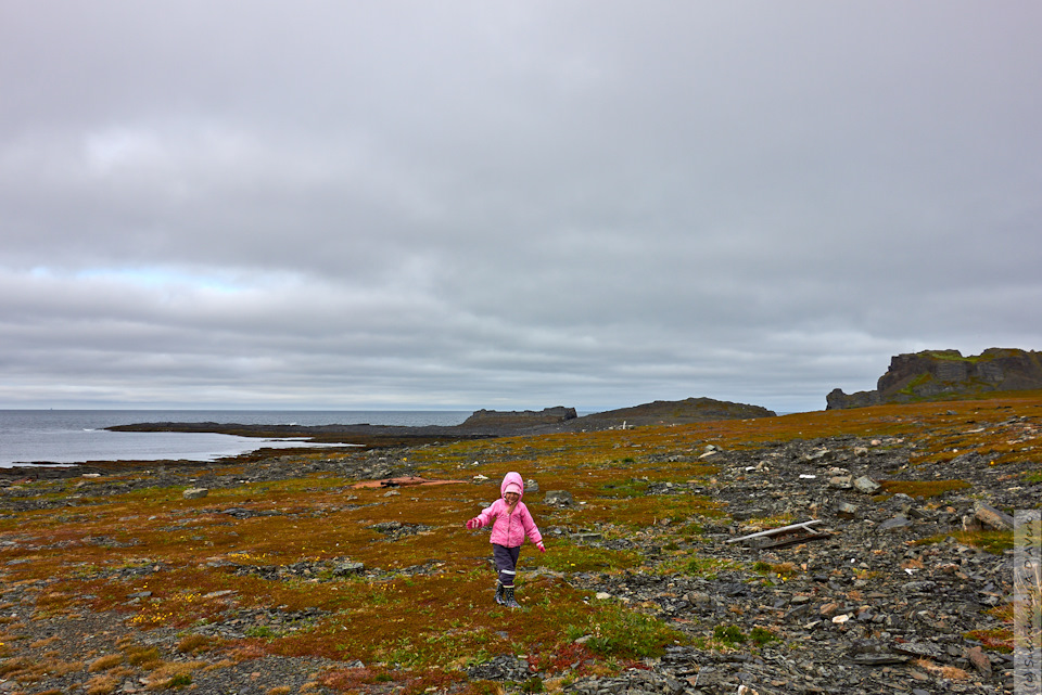 Фото в бортжурнале SsangYong Kyron