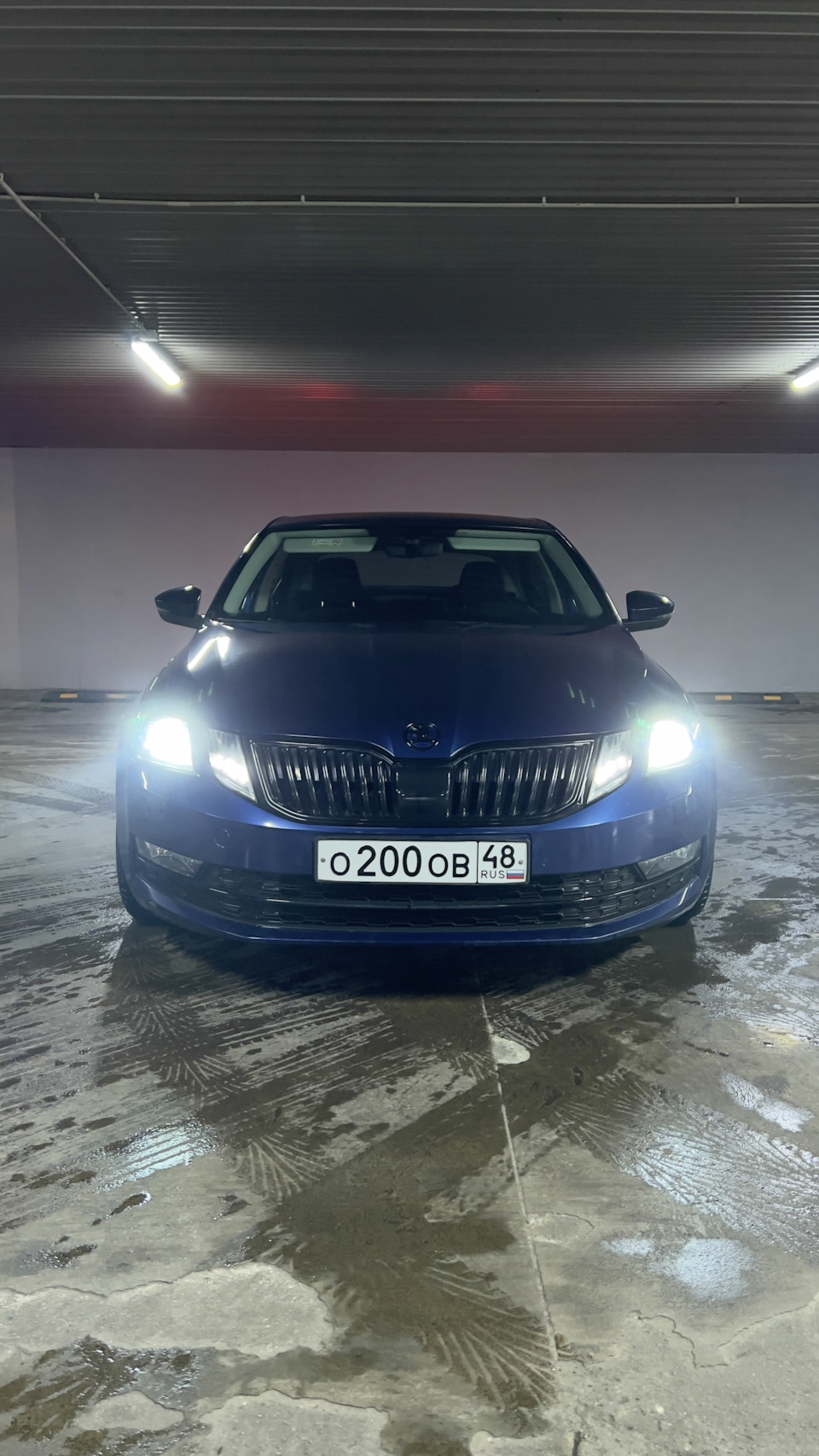 🔵Ну вот и все, конец истории🔵Машина продана…😕🛞 — Skoda Octavia A7 Mk3,  1,4 л, 2017 года | продажа машины | DRIVE2