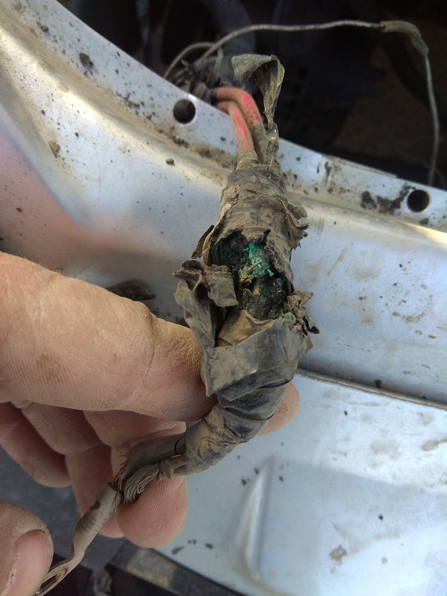 Отгнил разъем tcm вольво. Гнилые провода. Сгнил разъем слева в ногах тойота. Audi q5 отгнил провод генератора. Сгнил разъем.