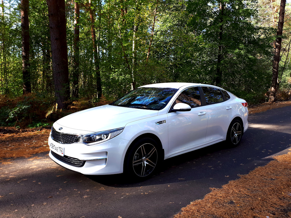 Купить б/у Kia K5 I 2.0 AT (165 л.с.) бензин автомат в Шаховской: белый Киа к5 I