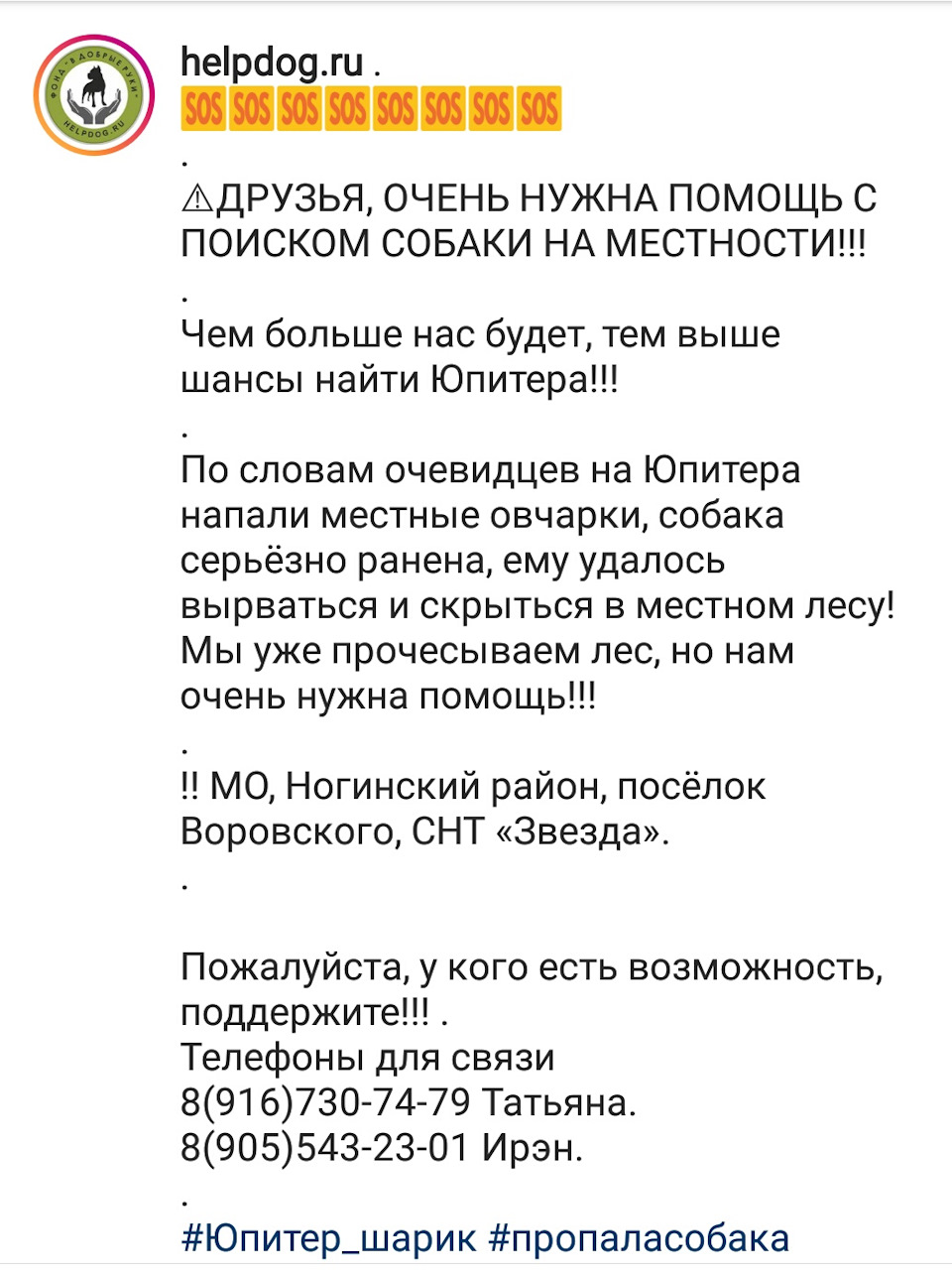 Электроугли, Электросталь, Ногинск и окрестности — Сообщество «Зверьё Моё»  на DRIVE2