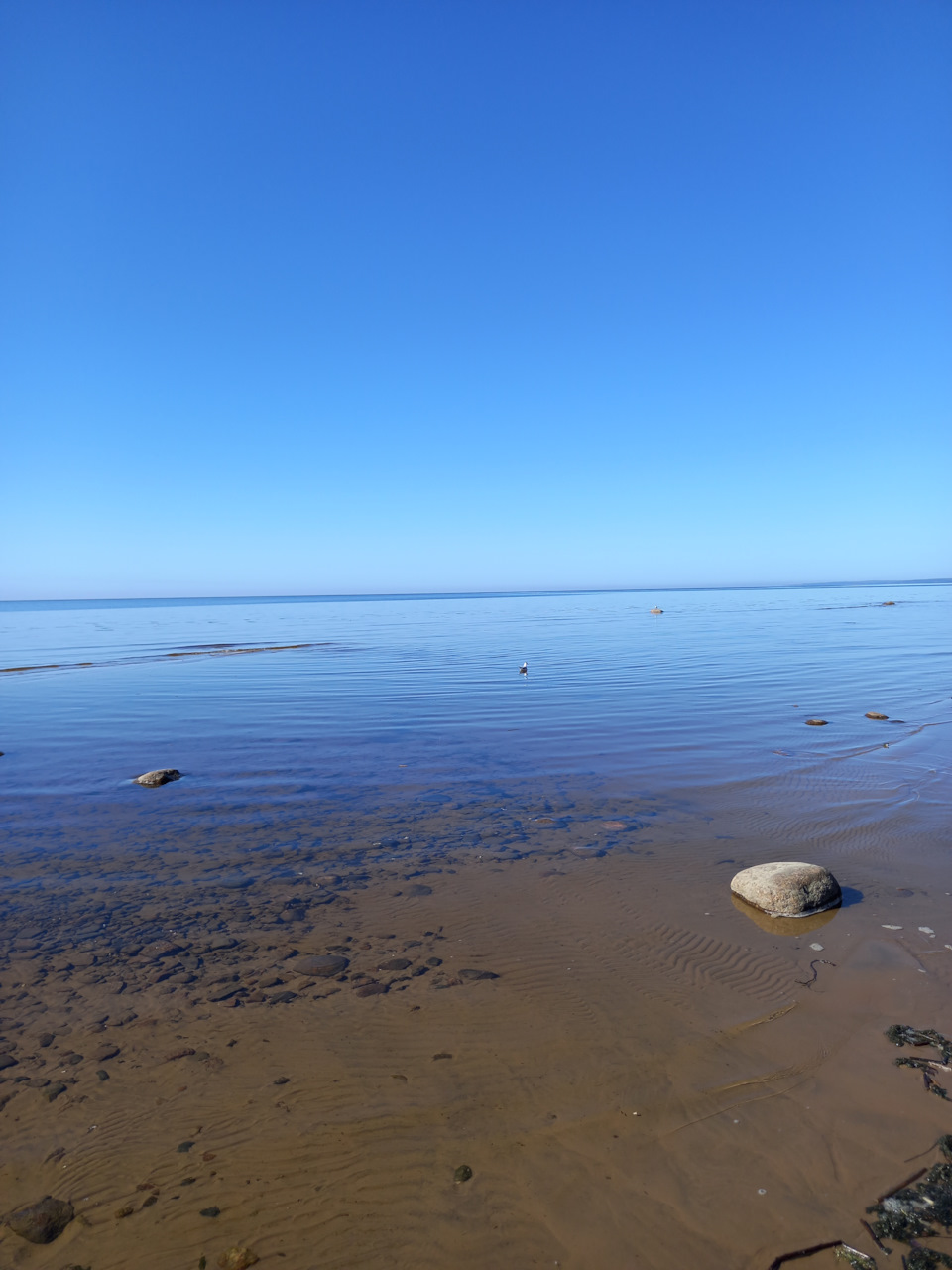 Фото в бортжурнале Renault Sandero 2G