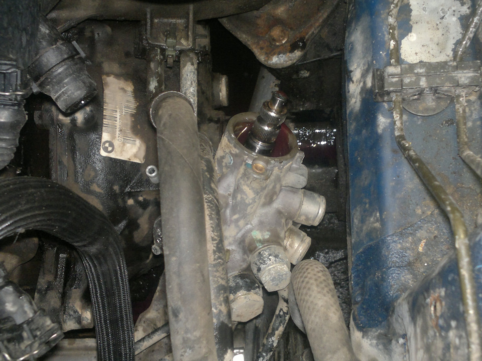 Фото в бортжурнале BMW X5 (E53)