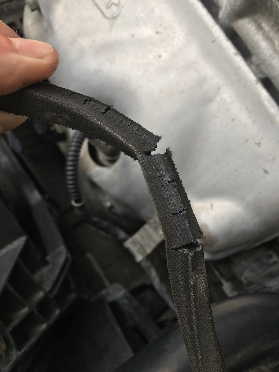 Ремни Gets уже ни те…, или подделка? — Hyundai Accent (2G), 1,5 л, 2005 ...