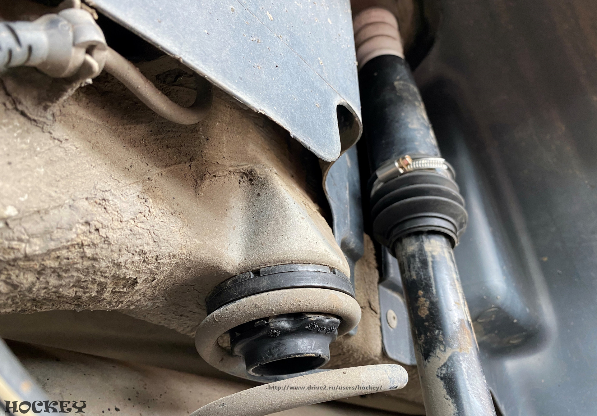 Передние амортизаторы и пружины. - Volkswagen Polo Hatchback Mk4F, 1,4 л, 2008 г