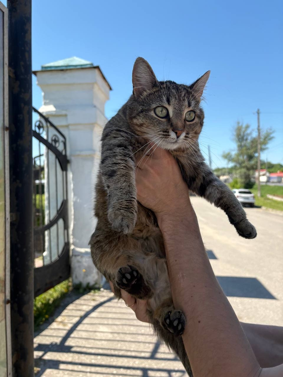 Фото в бортжурнале Haval Jolion