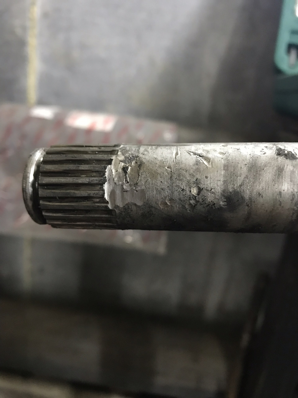 Беда блин… — Nissan Primera (P12), 1,8 л, 2004 года | просто так | DRIVE2