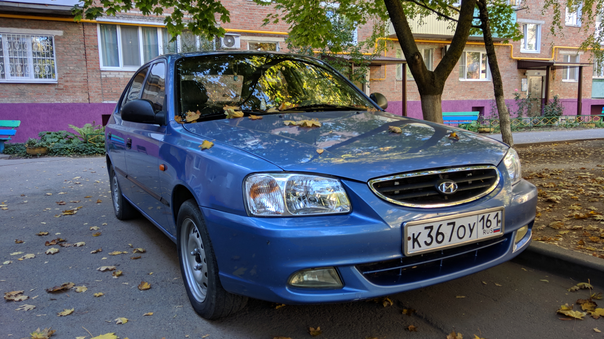 Фиолетовый акцент