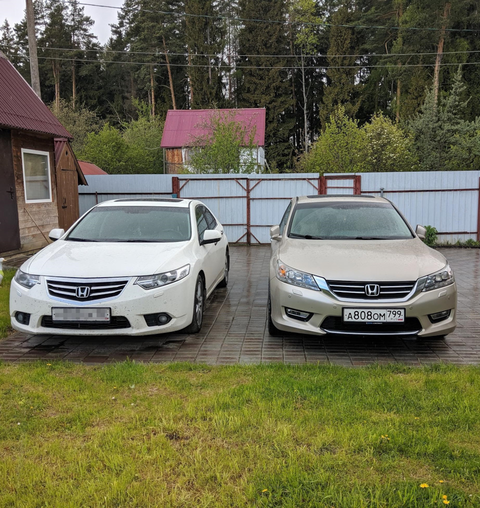 Внешнее сравнение аккордов 8 и 9 — Honda Accord (9G), 2,4 л, 2013 года |  наблюдение | DRIVE2