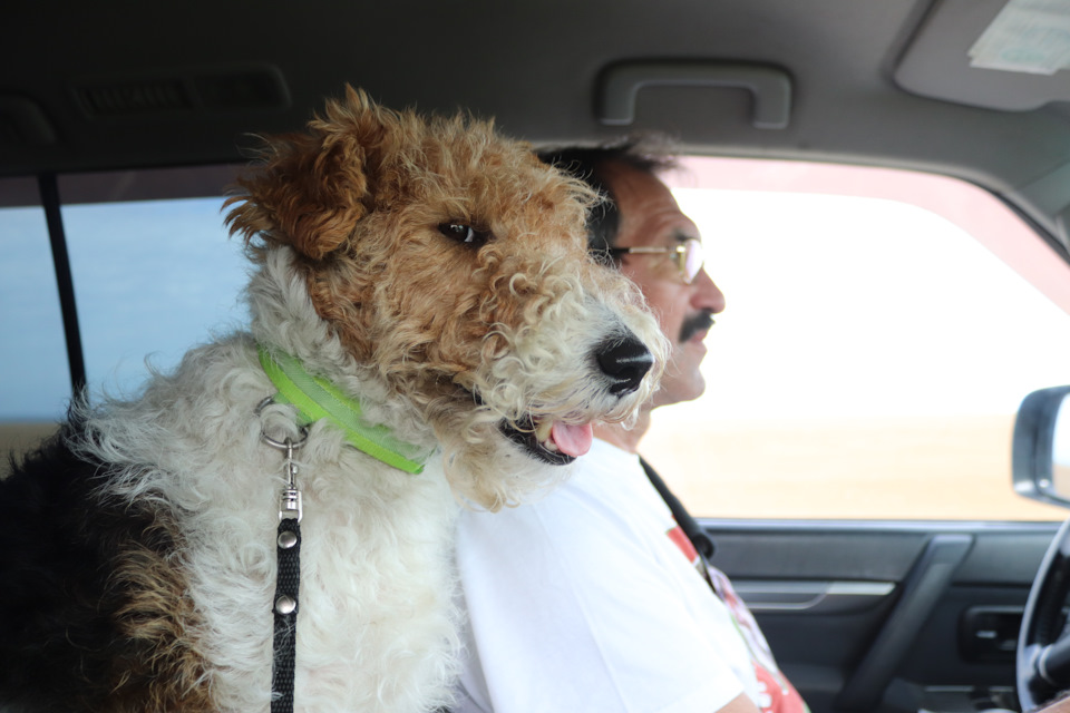 Штурман бдит! — Mitsubishi Pajero (4G)