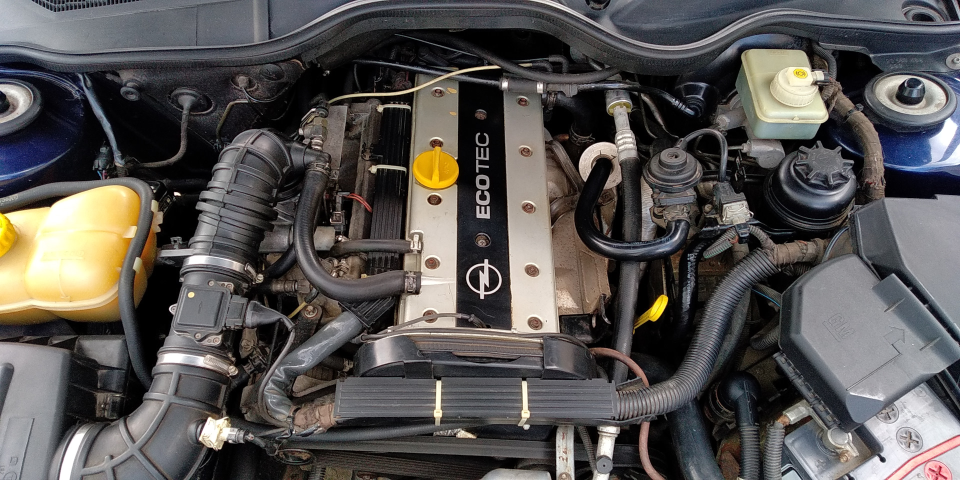 Двигатель омега б 2.0. Опель Омега 2.0 16v. Опель Омега б 2.5. Двигатель Опель Омега б 2.0 16 v. Opel Omega b 2.0 16v.