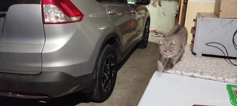 Фото в бортжурнале Honda CR-V (RM)