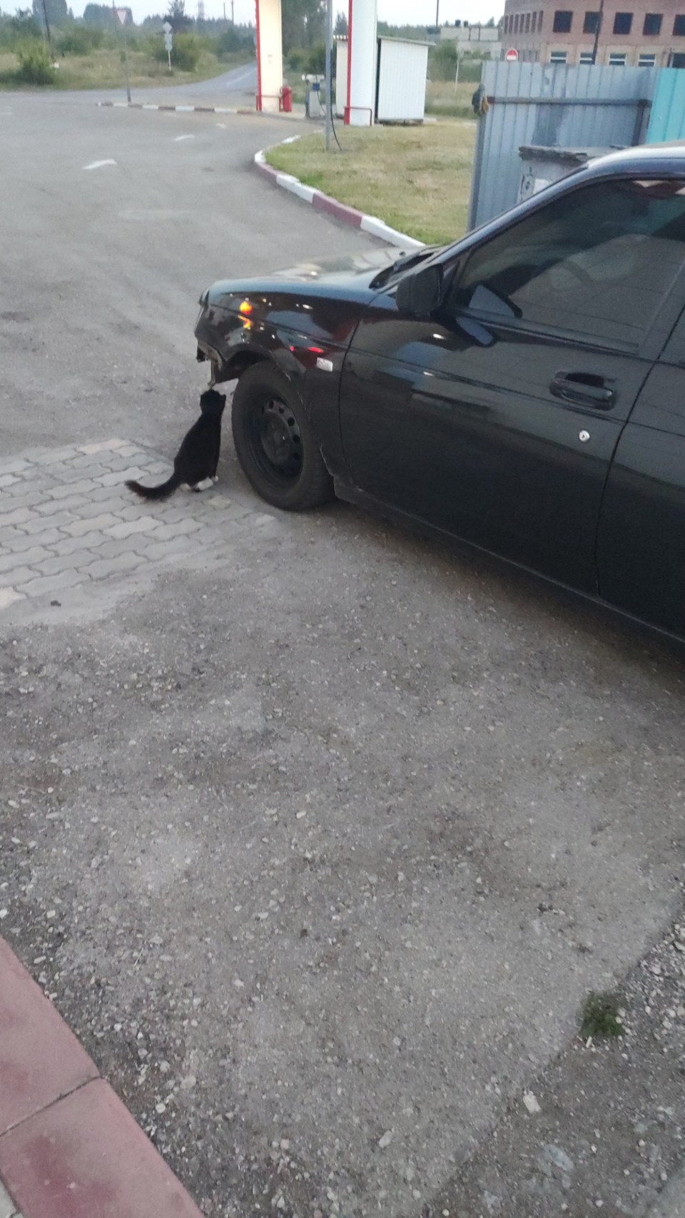 Фото в бортжурнале Lada Приора хэтчбек