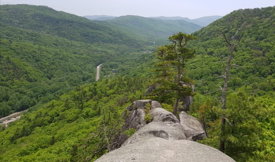 Фото в бортжурнале Toyota Land Cruiser Prado 70-series