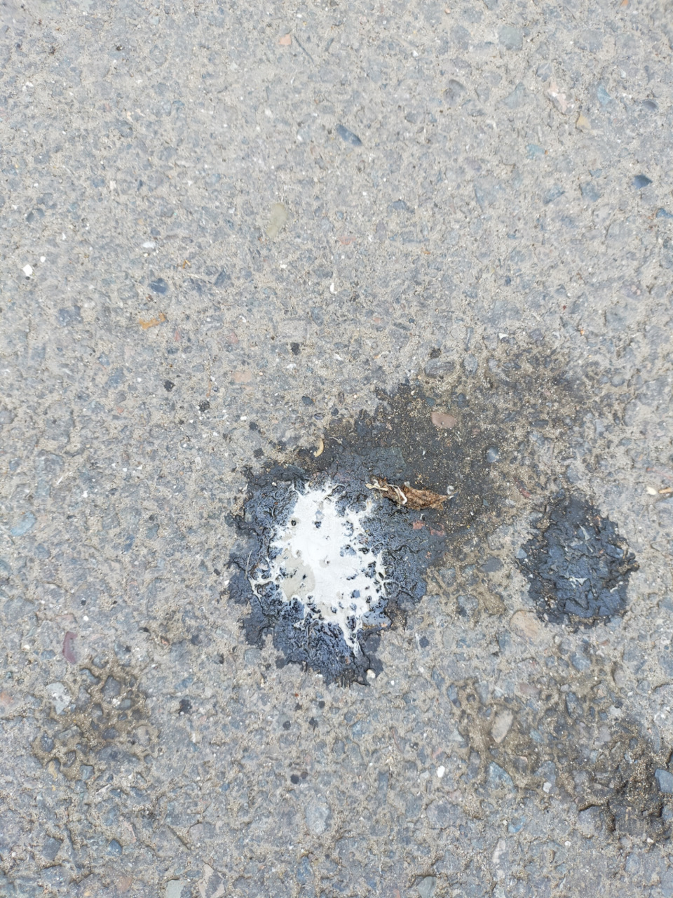 Сальник раздатки. Эмульсия в масле. — Mitsubishi Pajero (2G), 2,8 л ...