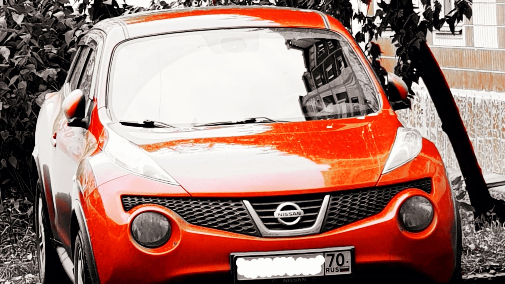 Nissan Juke (1G) 1.6 бензиновый 2012 | Прикольная вишнЯ на DRIVE2