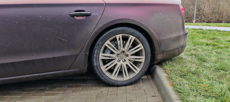 Филейка в режиме auto. Когда поедешь она опустится еще. — Audi A8 (D4)