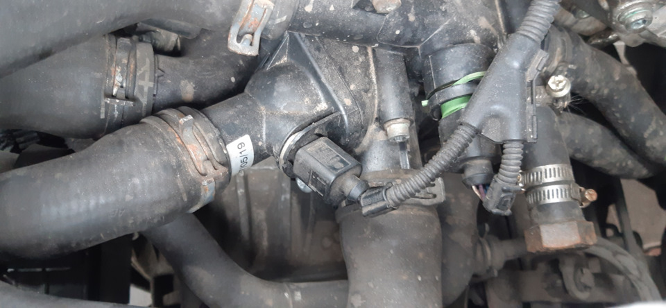 Вот и первая поломка. Термостат — Skoda Octavia Combi Mk1, 1,6 л., 2004 ...