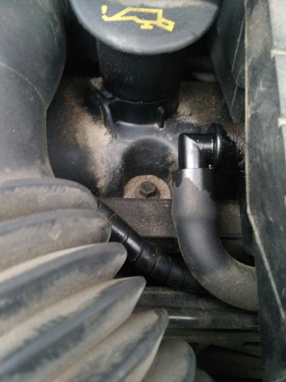 Важность замены фильтра картерных газов — Ford Fiesta (Mk V), 1,4 л ...